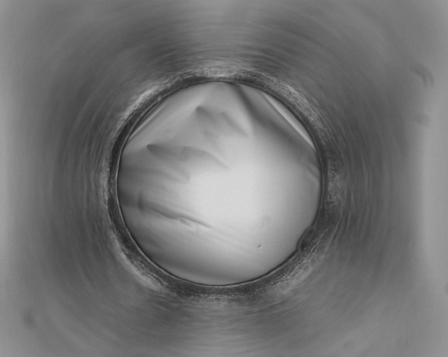 X0000112490530200908311434