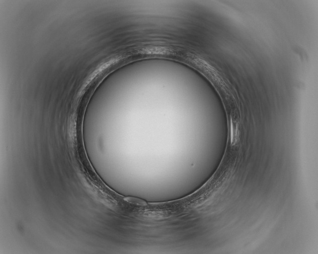 X0000112490531200908311434