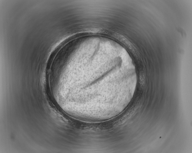 X0000112490532200908311434