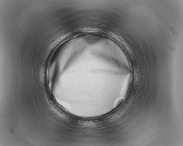 X0000112490533200908311434