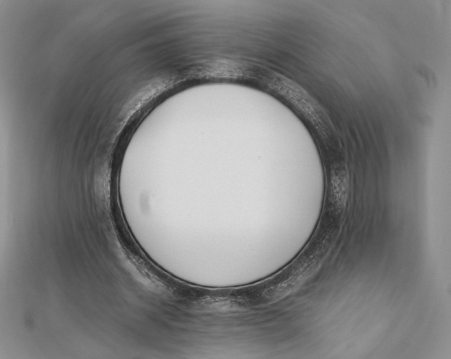 X0000112490534200908311434