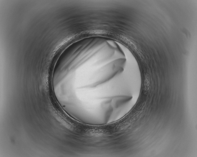 X0000112490535200908311434