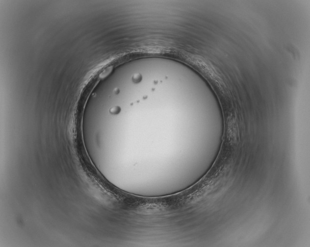 X0000112490536200908311434