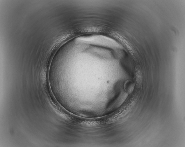 X0000112490537200908311434