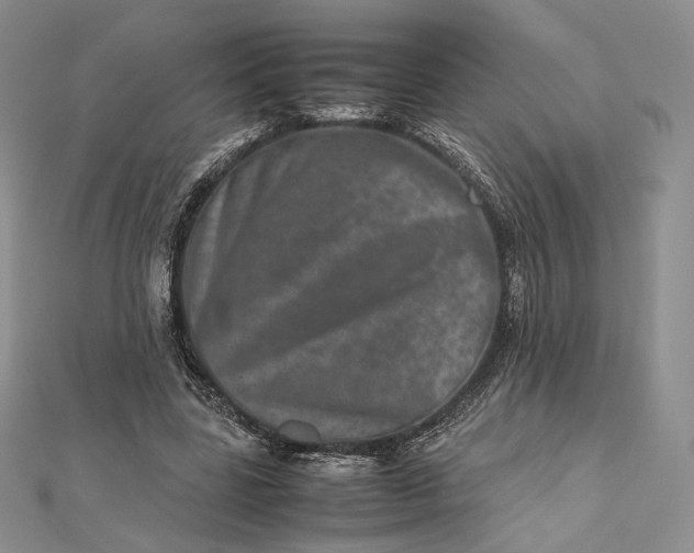 X0000112490539200908311434