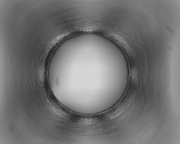 X0000112490540200908311434