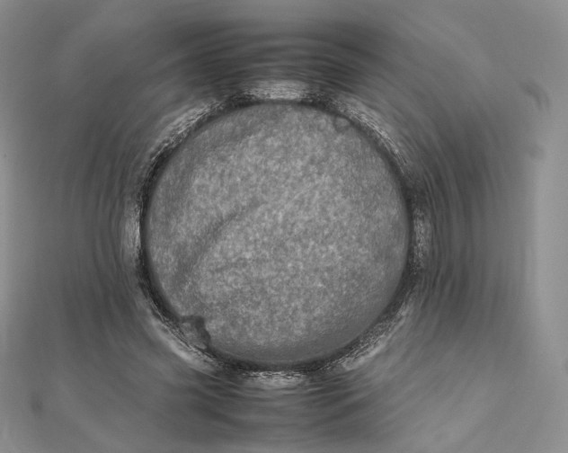 X0000112490541200908311434