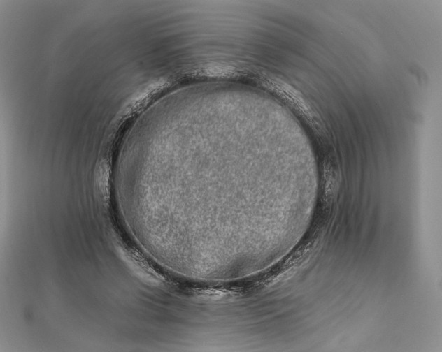 X0000112490542200908311434