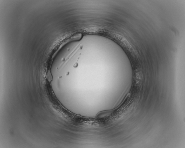 X0000112490544200908311434