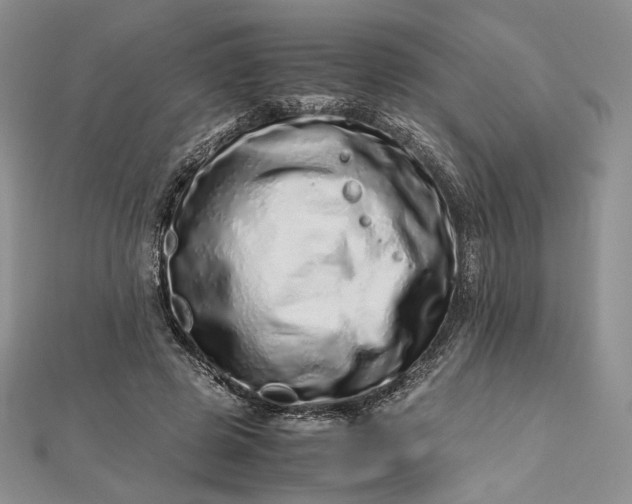 X0000112490545200908311434