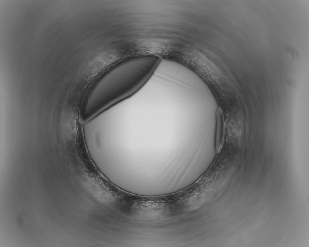 X0000112490546200908311434