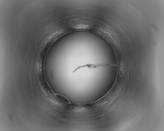 X0000112490547200908311434