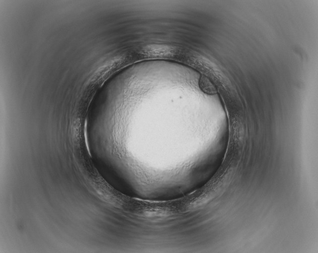 X0000112490549200908311434