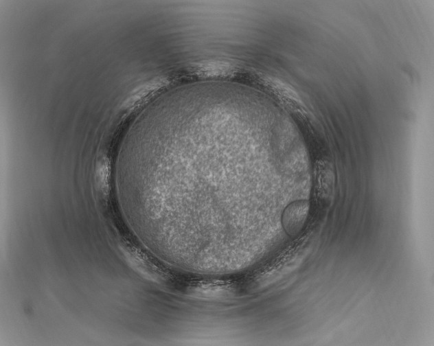 X0000112490550200908311434