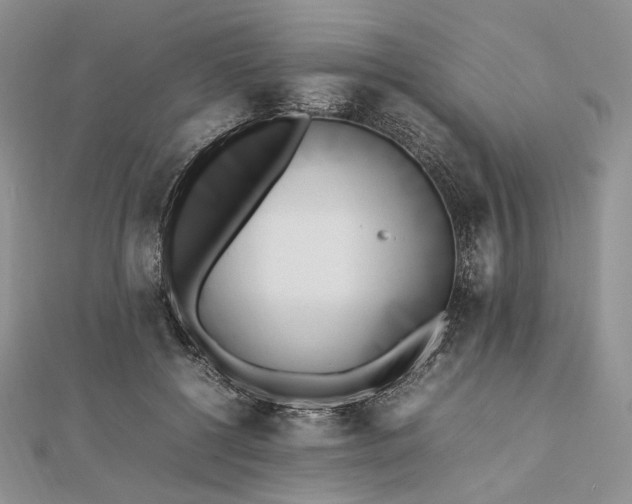 X0000112490552200908311434