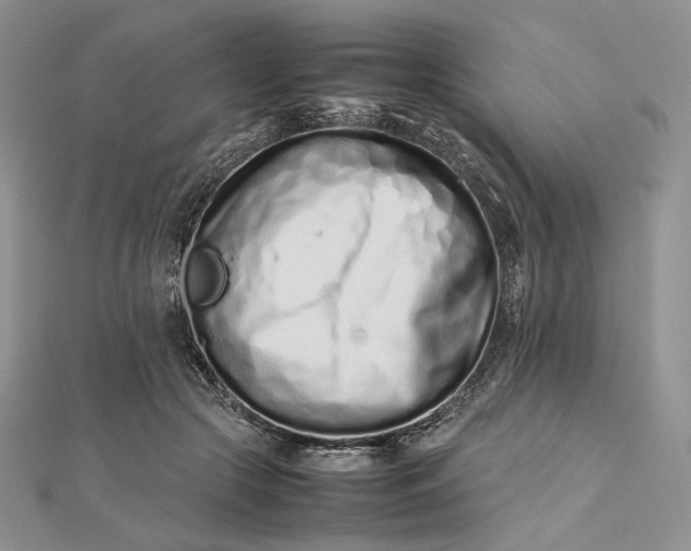 X0000112490553200908311434