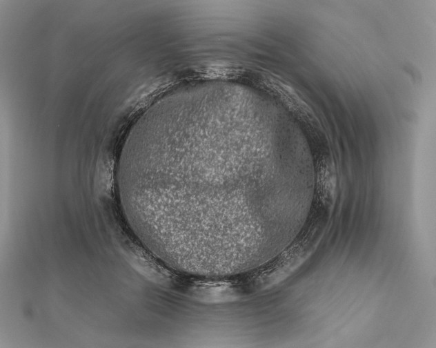 X0000112490554200908311434