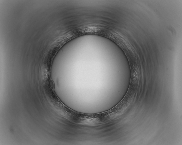 X0000112490555200908311434