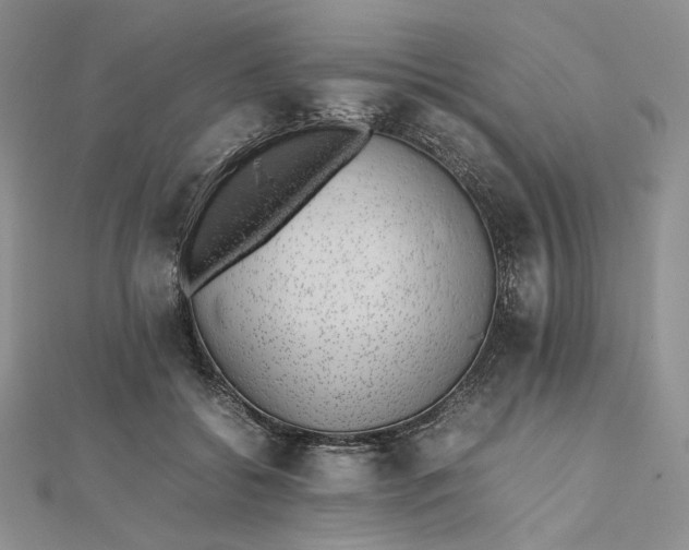 X0000112490556200908311434