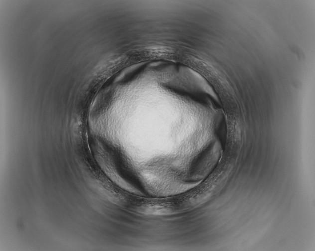 X0000112490557200908311434