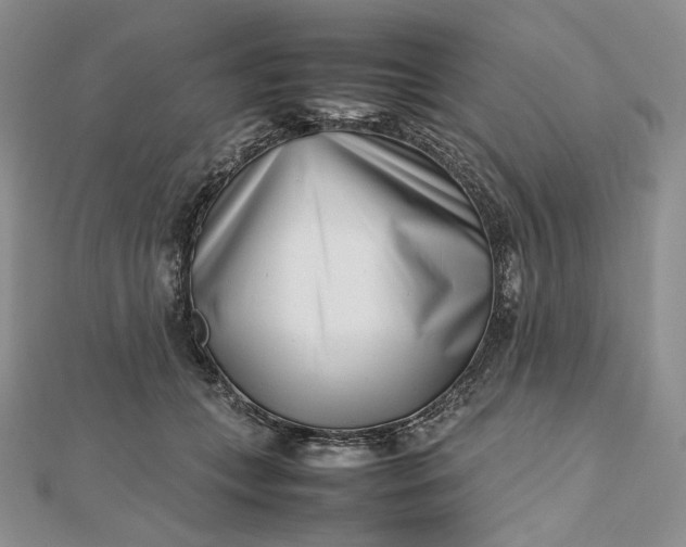 X0000112490559200908311434