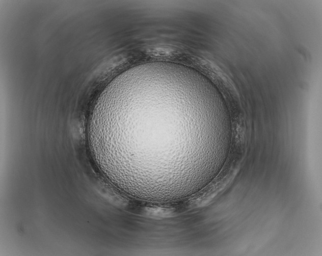 X0000112490561200908311434