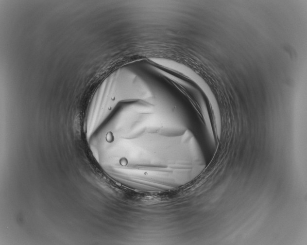 X0000112490562200908311434