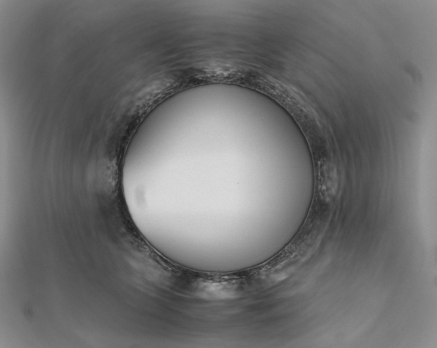 X0000112490563200908311434