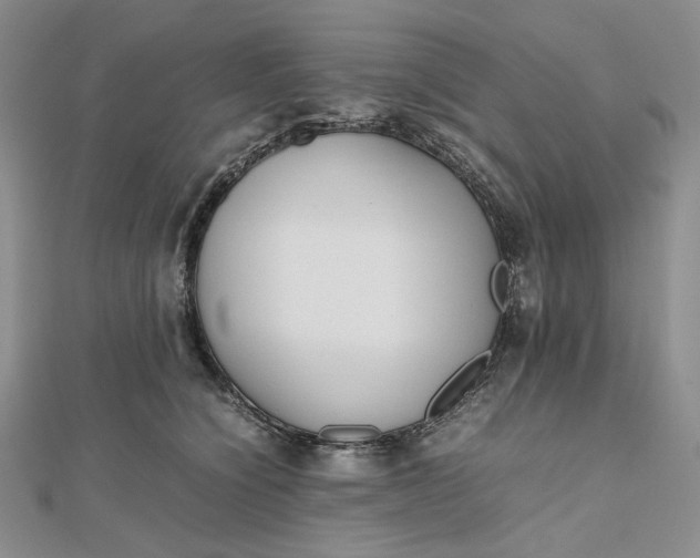 X0000112490564200908311434