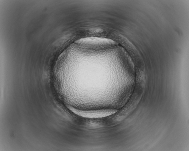 X0000112490565200908311434