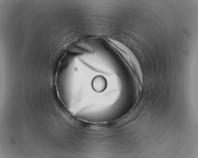 X0000112490568200908311434