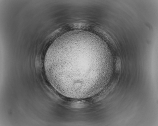 X0000112490569200908311434