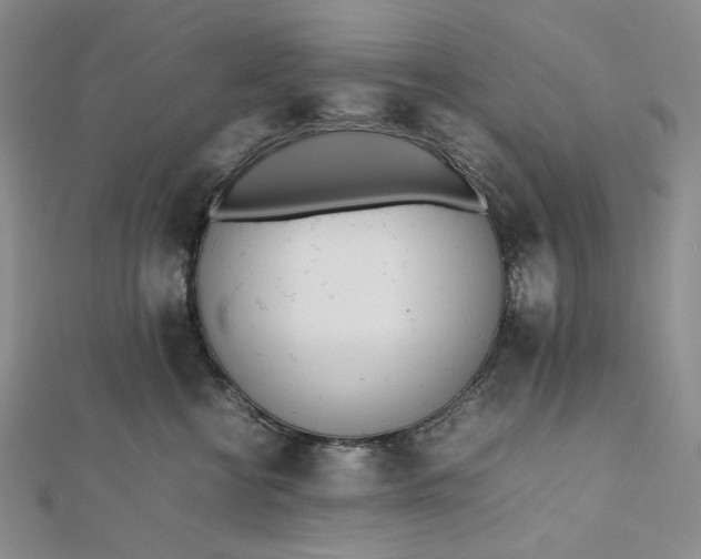 X0000112490570200908311434