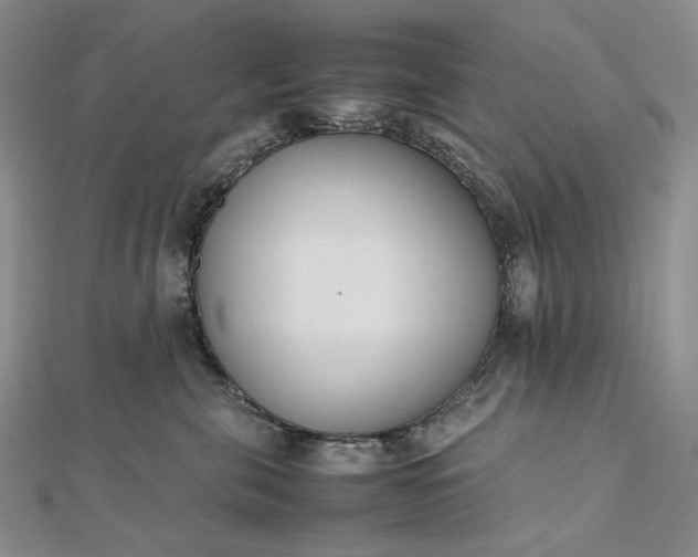 X0000112490571200908311434