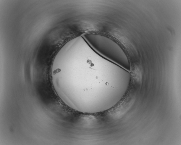 X0000112490572200908311434