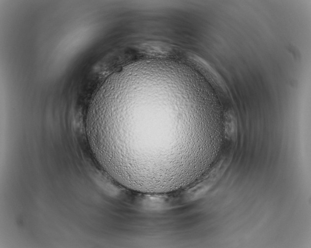 X0000112490573200908311434