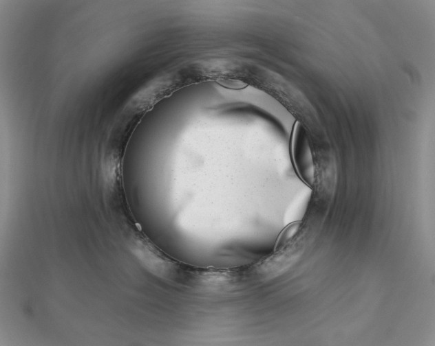 X0000112490574200908311434