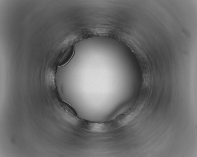 X0000112490575200908311434