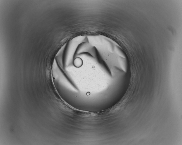 X0000112490576200908311434