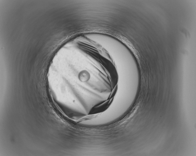 X0000112490577200908311434