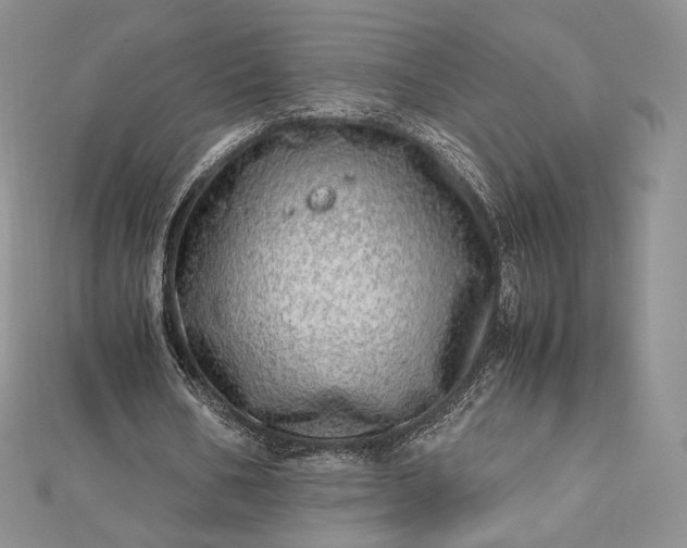 X0000112490578200908311434