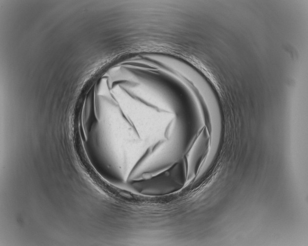 X0000112490581200908311434