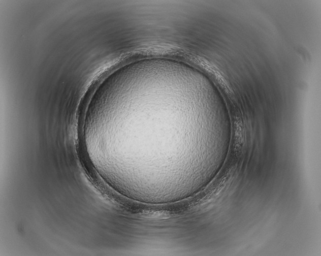 X0000112490582200908311434