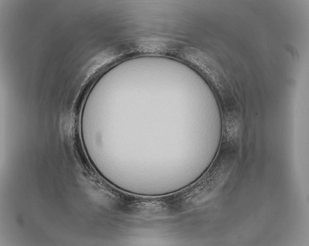 X0000112490583200908311434