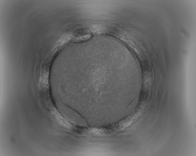 X0000112490585200908311434