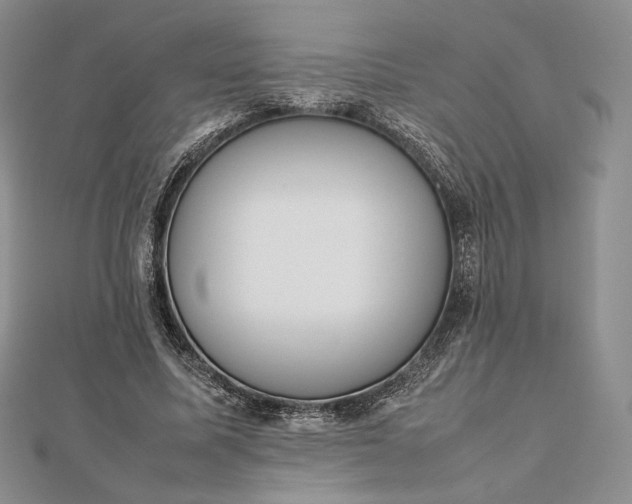 X0000112490587200908311434