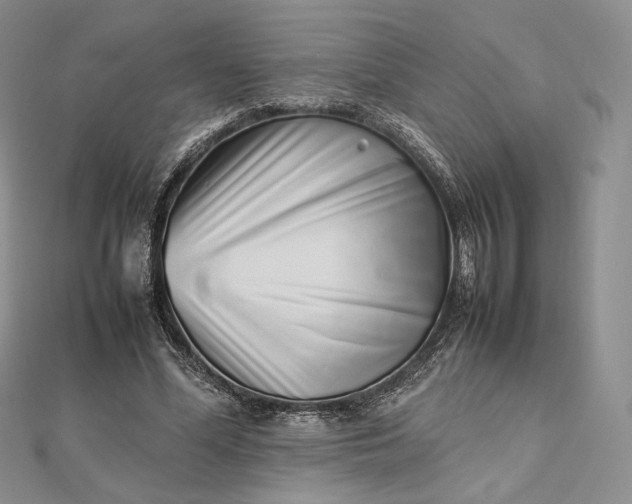 X0000112490588200908311434