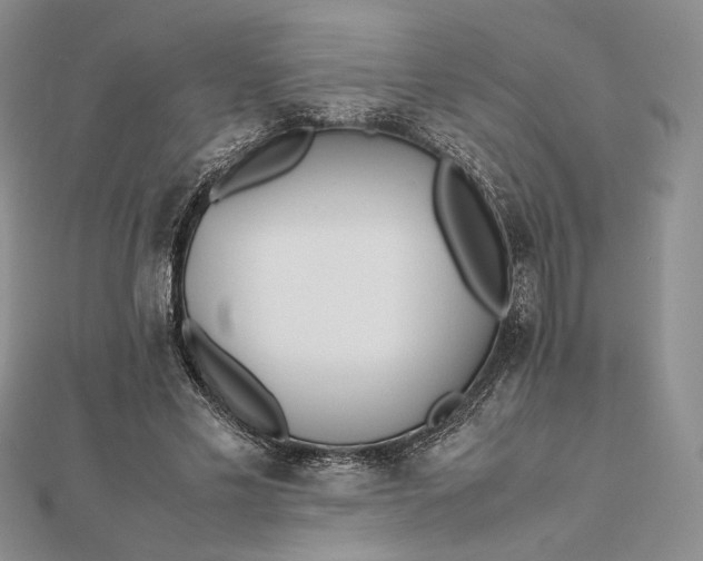 X0000112490589200908311434