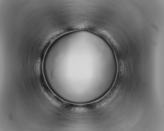 X0000112490590200908311434