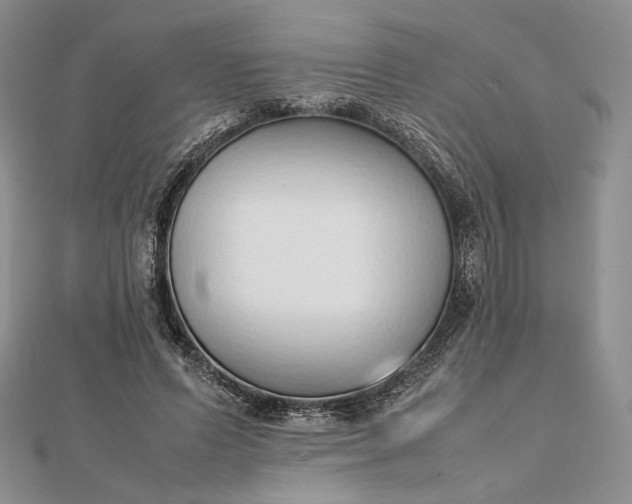 X0000112490591200908311434